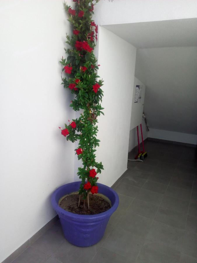 Persefoni Rooms Apartments & Mezonetes Toroni Dış mekan fotoğraf